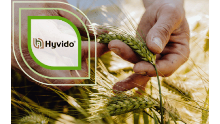 SY Galileoo Hybridgerste