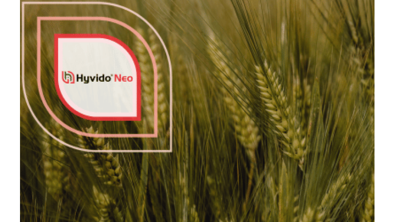 SY Kestrel Hyvido Neo