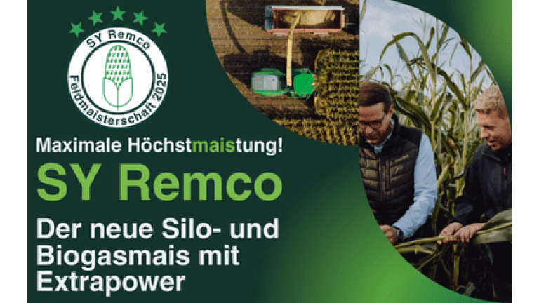 SY Remco - Höchstmaistung
