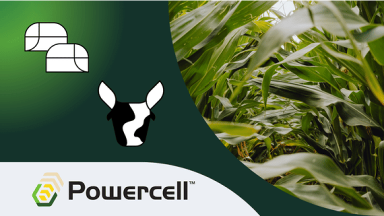 Maissorte Powercell, Silomais, Biogas