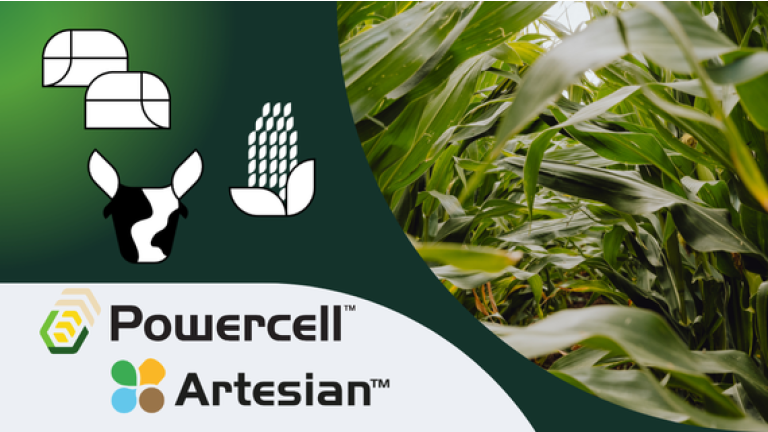 Powercell Artesian Logo auf grünem Banner, rechts Bambusblätter im Hintergrund