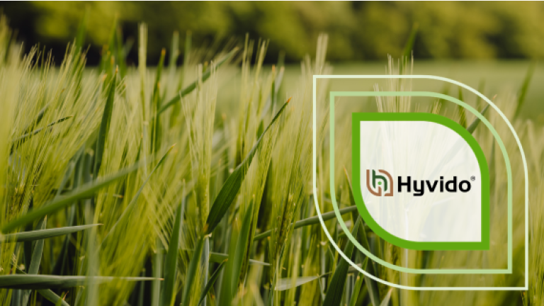 Hyvido-Logo auf grünem Gras, grafisch eingerahmt mit transparenten Linien