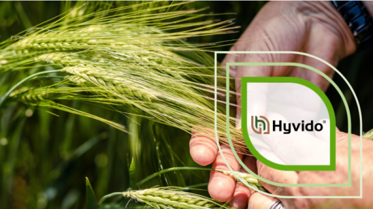 Hand hält grüne Ähren; darüber Hyyvido-Logo als Grafik.