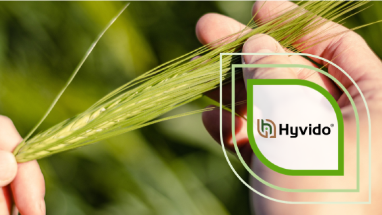 Hand hält grüne Getreideähre vor unscharfem Hintergrund, Hyvido-Logo als Grafik