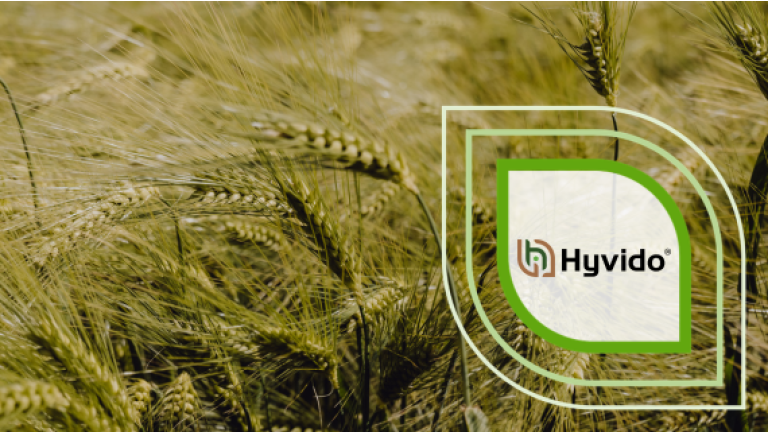 Logo „Hyvido“ auf grünem D vor Weizenfeld, Grafik