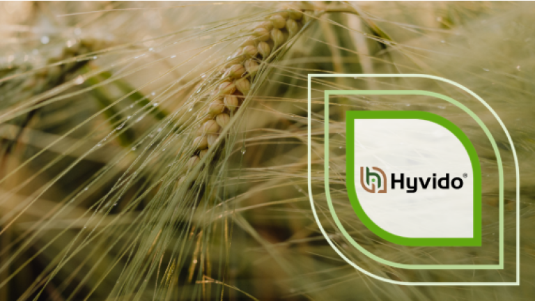 Hyvido-Logo auf unscharfem Hintergrund mit Getreideähren