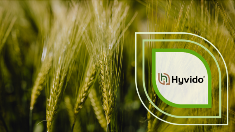 Logo „Hyvido“ auf grünem Hintergrund mit Getreideähren.