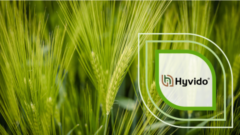 Grünes Getreidefeld mit Hyvido-Logo in weißem Quadrat rechts