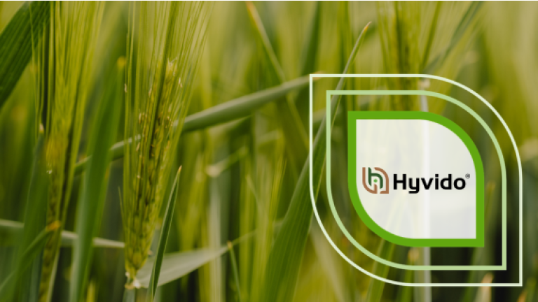Grüne Grashalme im Hintergrund, darüber Hyvido-Logo als Grafik