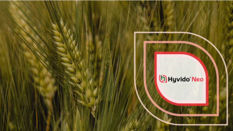 Logo „Hyvido Neo“ auf Hintergrund aus grünem Getreidefeld