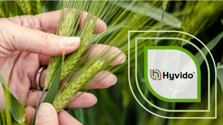 Hand hält grüne Ähren; rechts grünes Hydido-Logo auf transparentem Hintergrund