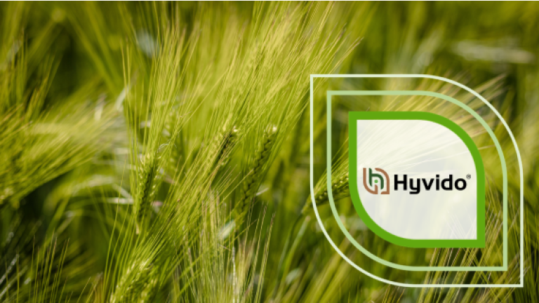 Logo von Hyvido auf grünem Getreidefeld, weißer Rahmen und Kreiselemente