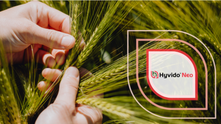 Hände halten Getreideähren; rechts grafisches Logo „Hyvido Neo“ in D-Form.