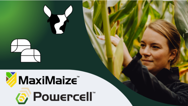 Frau im Maisfeld; unten links MaxiMaize- und Powercell-Logos